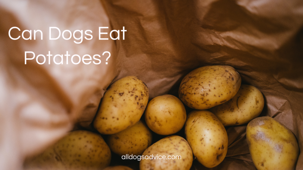 Can Dogs Eat Potatoes