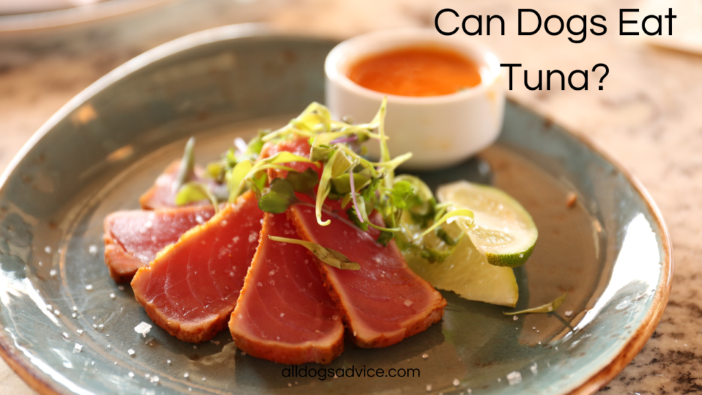 Can Dogs Eat Tuna